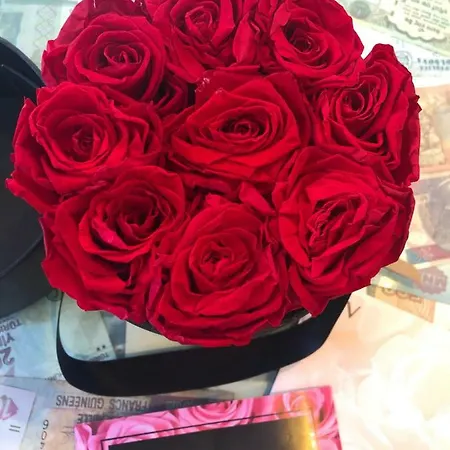 Small Royal Rc12 호텔 파도바