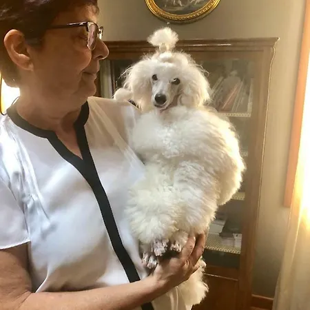 Small Royal Rc12 호텔 3*