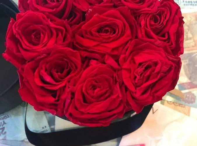 Small Royal Rc12 Hotel Padua