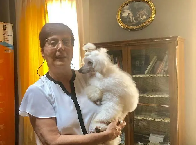 Small Royal Rc12 Hotel 3*